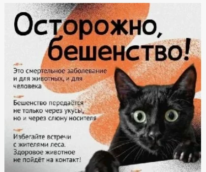 Внимание, карантин!