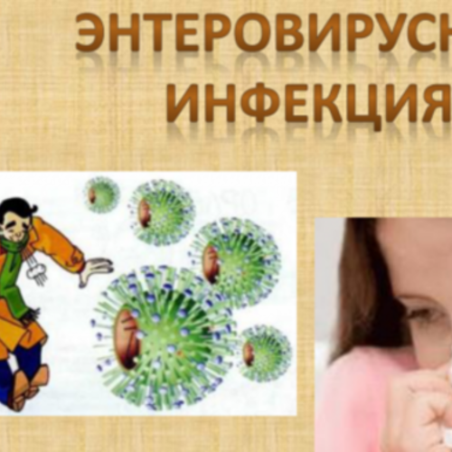 Внимание: энтеровирус!