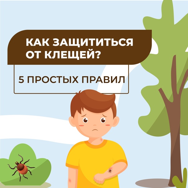 Осторожно: клещи!