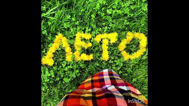 Сегодня погода внесла изменения в наши планы. Утро началось с теплого летнего дождя. Зарядка,  подвижные игры.