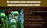 Уважаемые жители Ипатовского муниципального округа!
