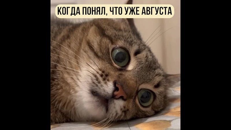 Ребята, держитесь, но август, скорее всего.