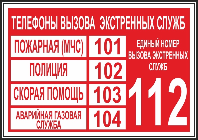 Лето  это не только пора каникул, но и период.