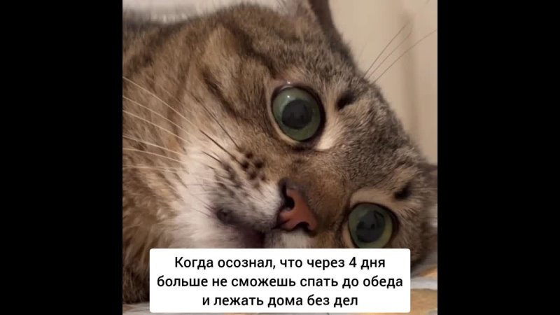 Уже через 4 дня школьный звонок разбудит нас от беззаботных каникул