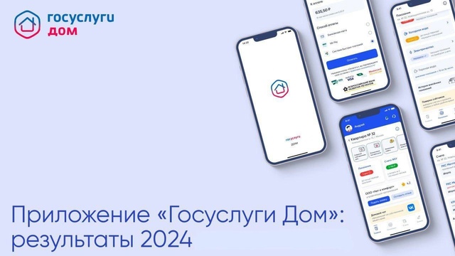 МОБИЛЬНОЕ ПРИЛОЖЕНИЕ ГОСУСЛУГИ ДОМ: ПРЕДВАРИТЕЛЬНЫЕ ИТОГИ 2024 ГОДА.