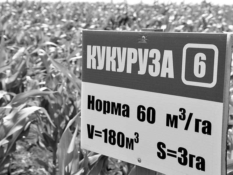 Биоурожай