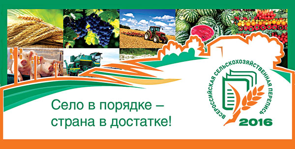 Оценить ресурсный потенциал села