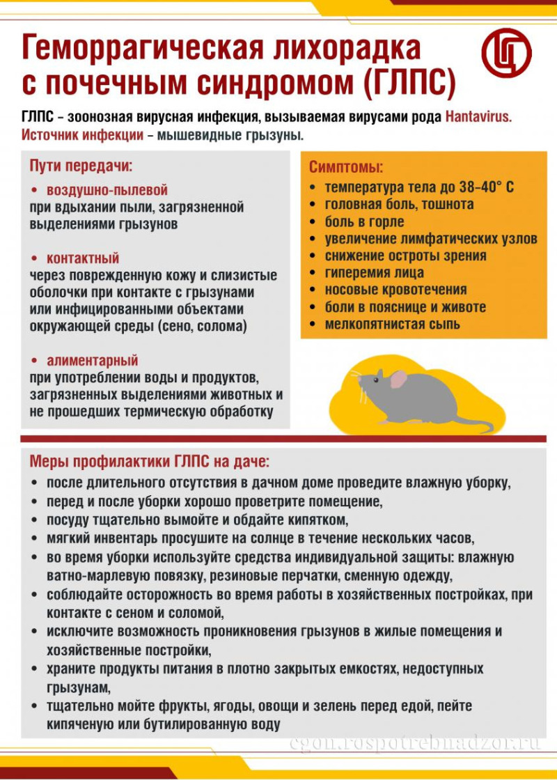 Геморрагическая лихорадка с почечным синдромом