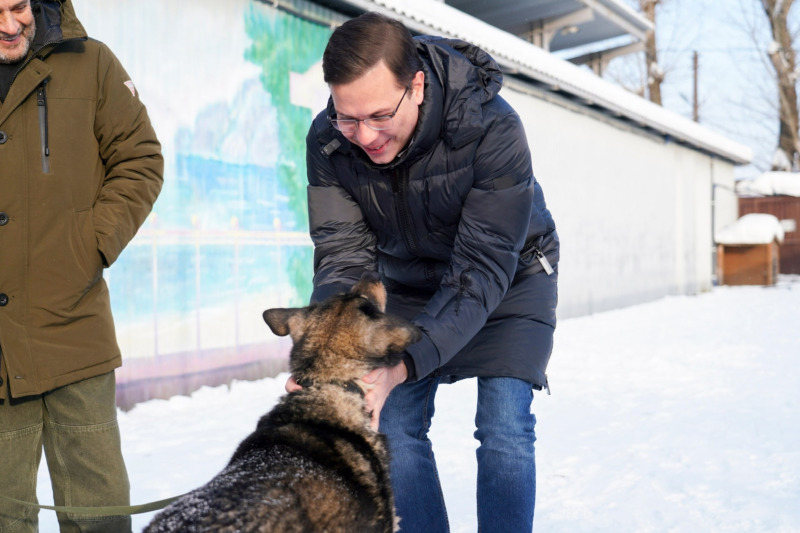 Помощь братьям нашим меньшим