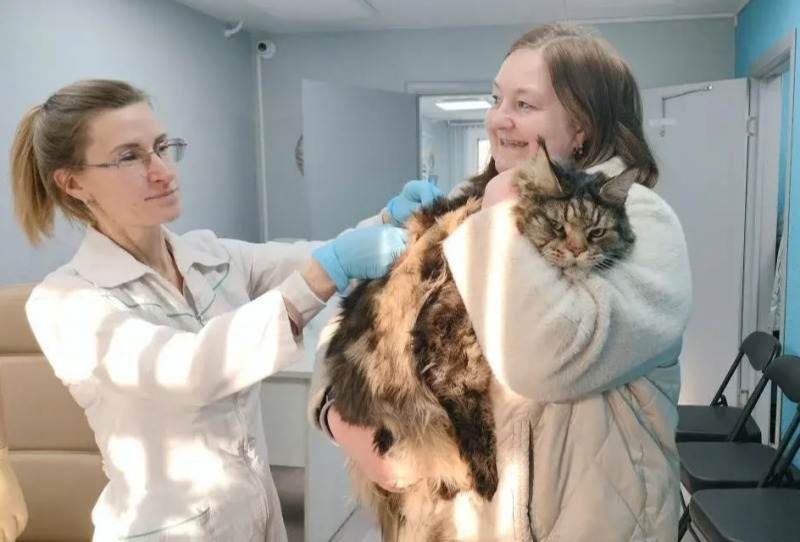 Вакцинировали питомцев