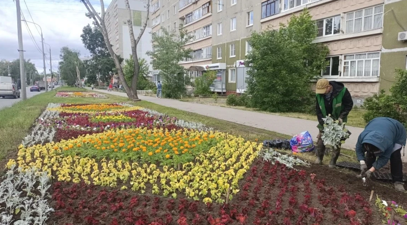 «Будем любоваться пёстрыми клумбами»