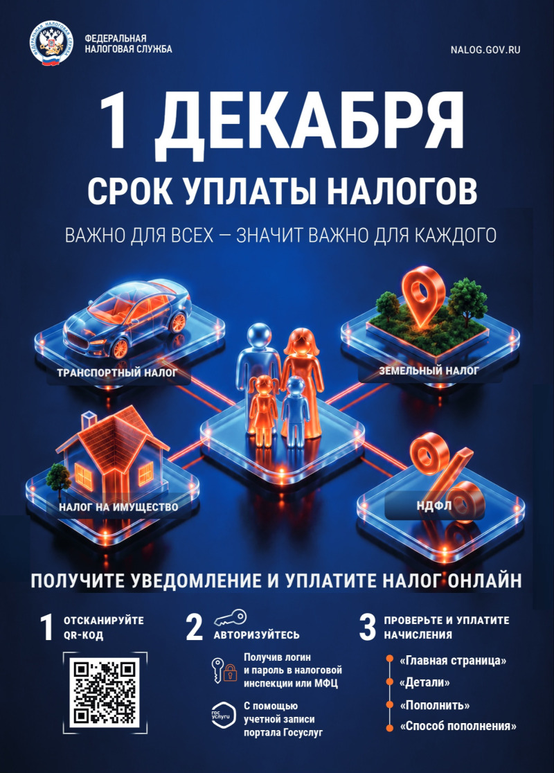 1 декабря - срок уплаты налогов