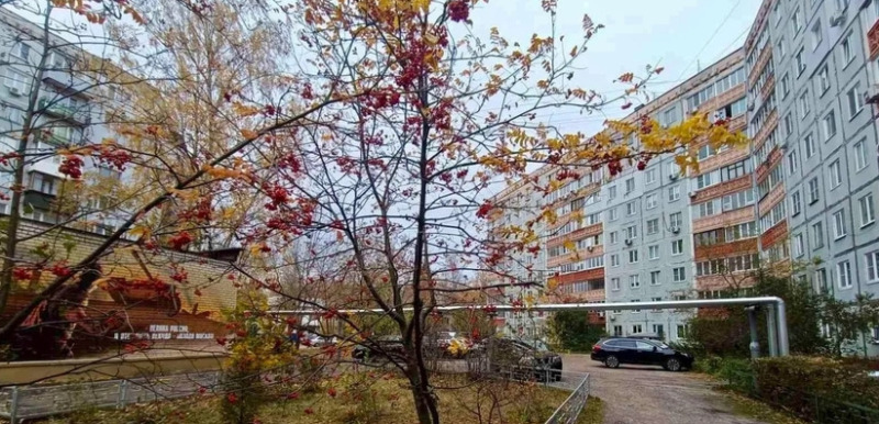 Кого признали лучшим?