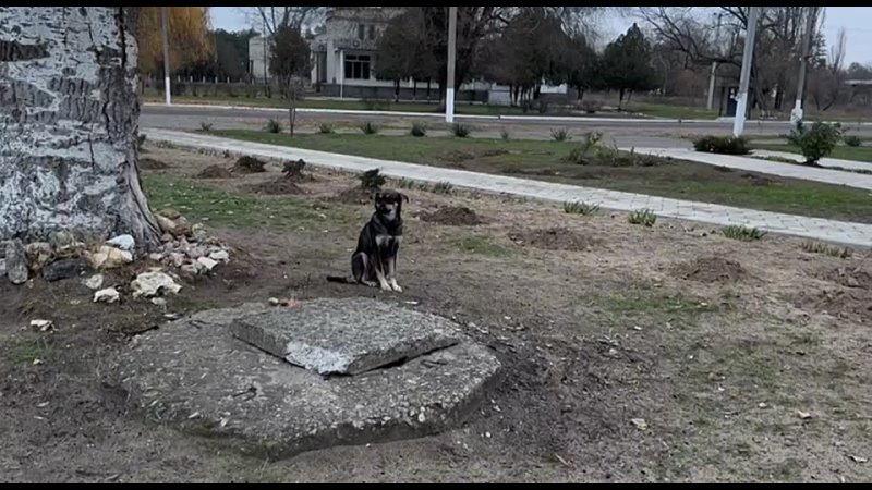 Глава Новокаховского городского округа Виталий Гура с рабочим визитом посетил населённые пункты Райское и Днепряны