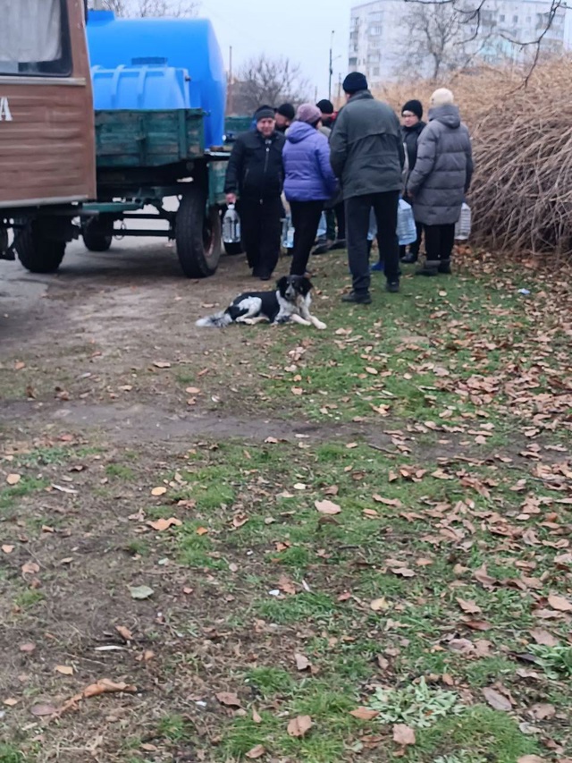 Обеспечение жителей города Таврийск городского округа Новая Каховка питьевой водой