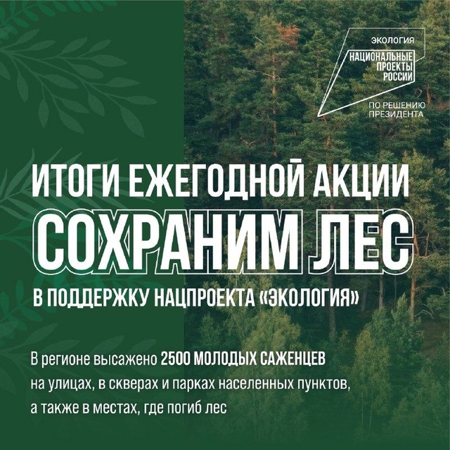 В рамках экологической акции Сохраним лес в крае высажено 2500 молодых саженцев