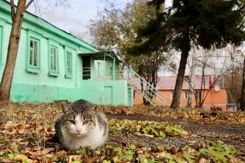 В этом году Областная психоневрологическая больница  5 отмечает 90-летний юбилей. И сегодня в ходе рабочего визита лично увидел.