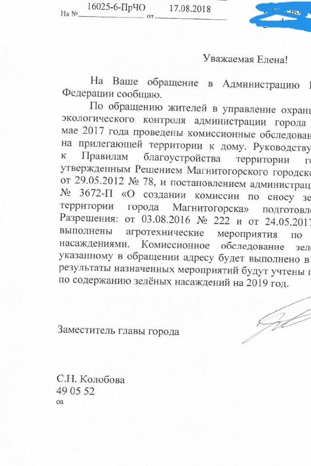 Ответы на обращения начиная с 2018 года. Заканчивается 2024... Не изменилось ничего. Когда проведут обрезку деревьев внутри квартала по ул Горького 4. Ветки падают на автомобили.