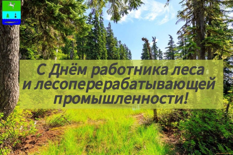 Уважаемые работники и ветераны лесной отрасли, поздравляю Вас с профессиональным праздником  Днём работников леса и лесоперерабатывающей промышленности!