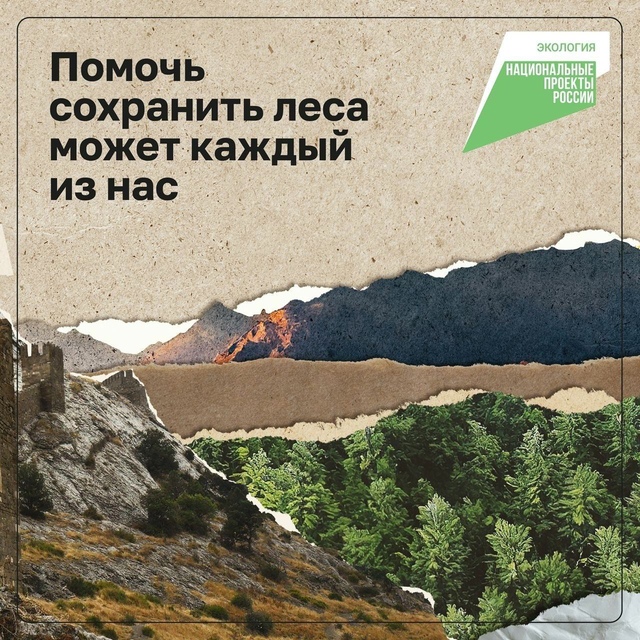 Как помочь сохранить леса? Рассказываем в карточках. Забота о природе  один из приоритетов нацпроекта Экология (реализуется по решению президента РФ Владимира Владимировича Путина)