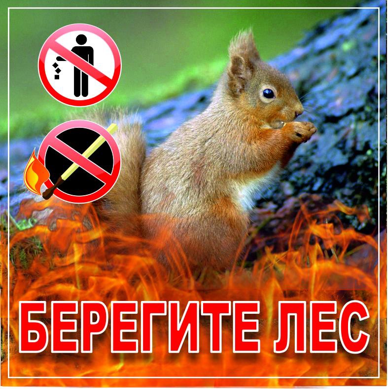 Берегите лес!