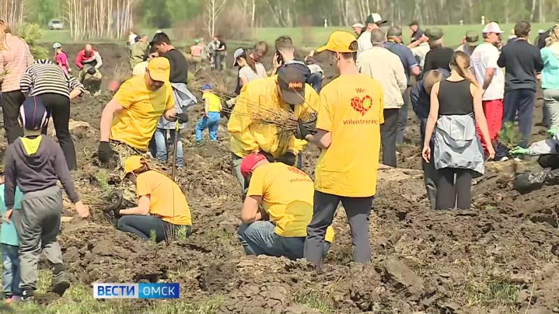 Сегодня в Омской области стартует акция Сохраним лес - первыми мечи Колесова возьмут в руки жители Азово!