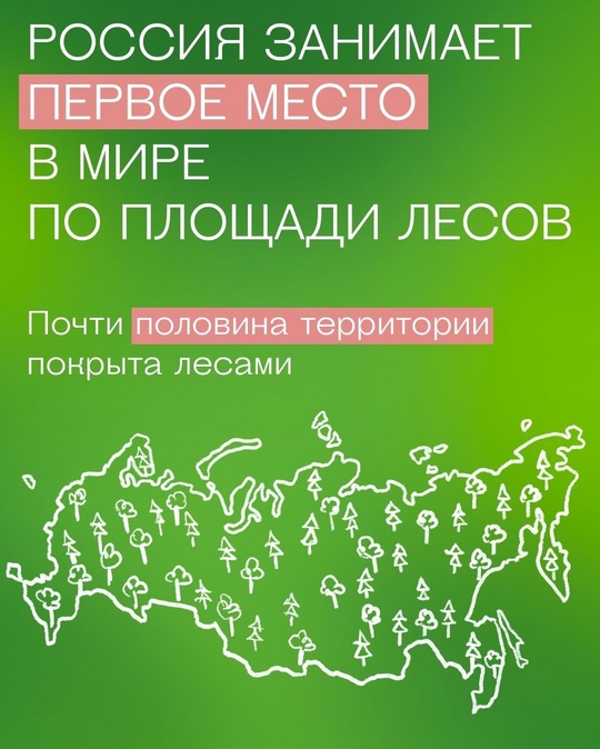 Экологическая статистика - от Министерства природных ресурсов РФ. Уделим минутку важной и интересной информации!