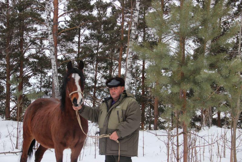 Крестьянский дух в душе храня, встречает Волков год коня