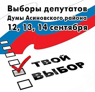 Назначена дата выборов депутатов Думы Асиновского района в связи с окончанием пятилетнего срока их полномочий