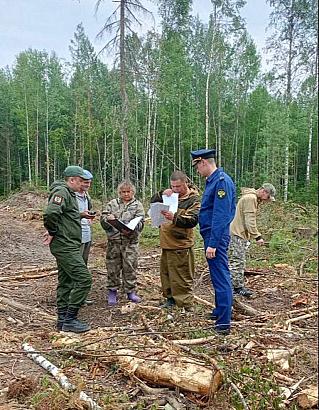 Прокуратура даст оценку законности вырубки кедров вблизи деревни Гарь