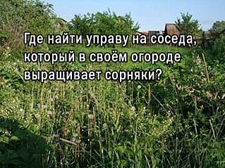 Закон есть, а исполнителей нет...