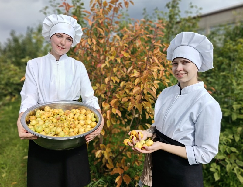 Свои яблоки самые вкусные! Студенты АТпромИС собрали в саду техникума более 160 кг яблок