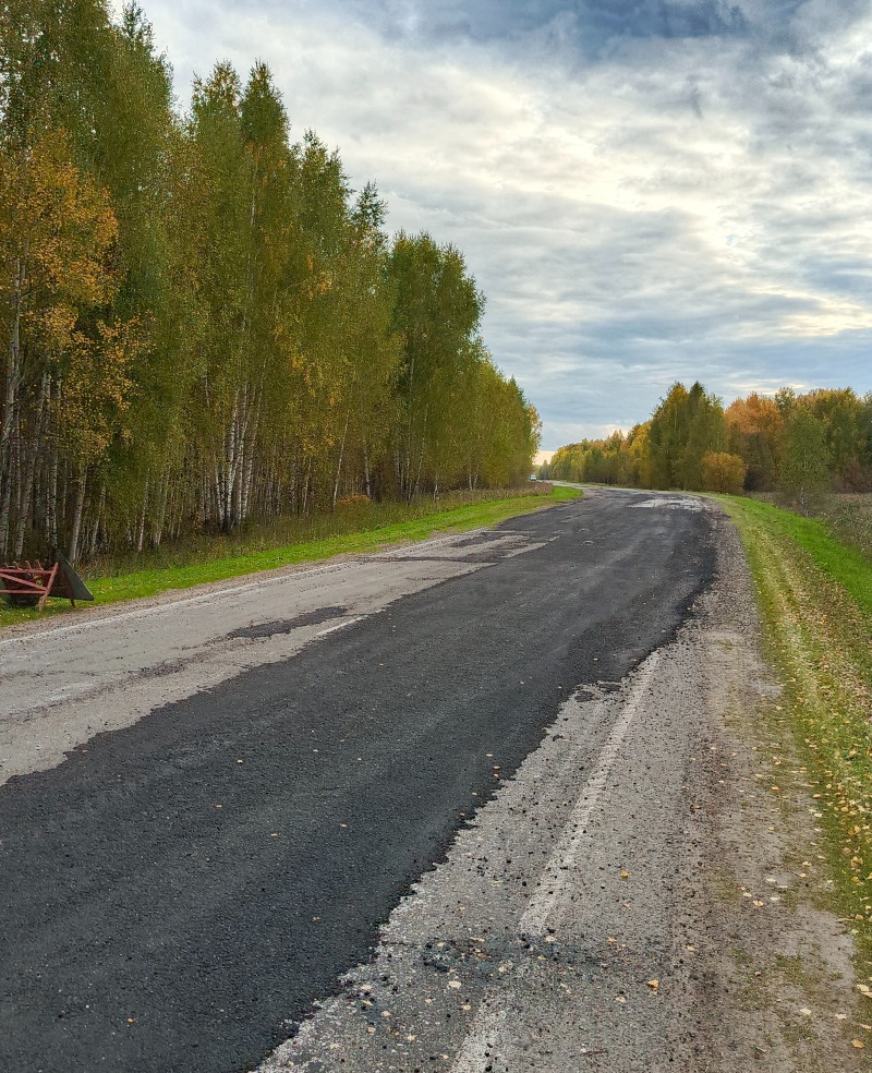 Асиновские дорожники провели ремонтные работы в районе Новониколаевки