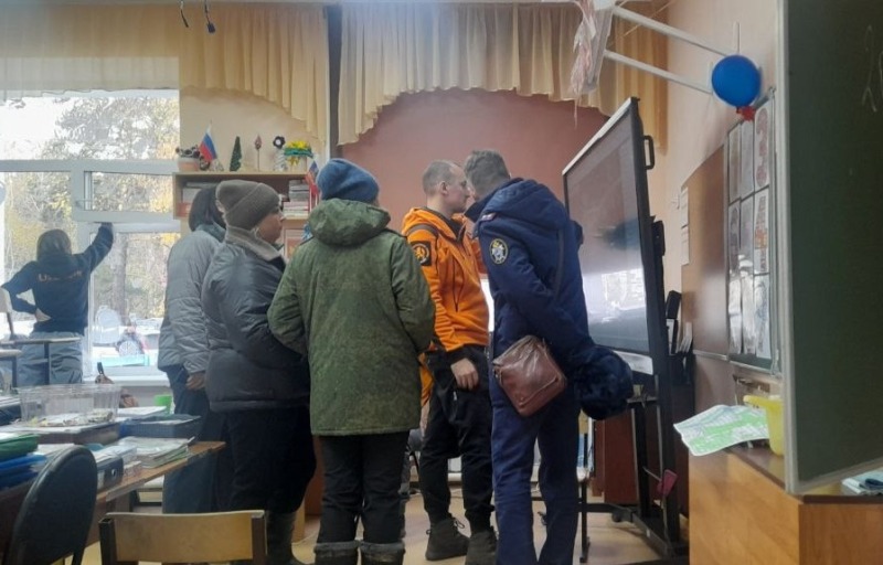 На помощь пришли добровольцы. Поиски пропавшей из деревни Царицынка девочки завершились успешно