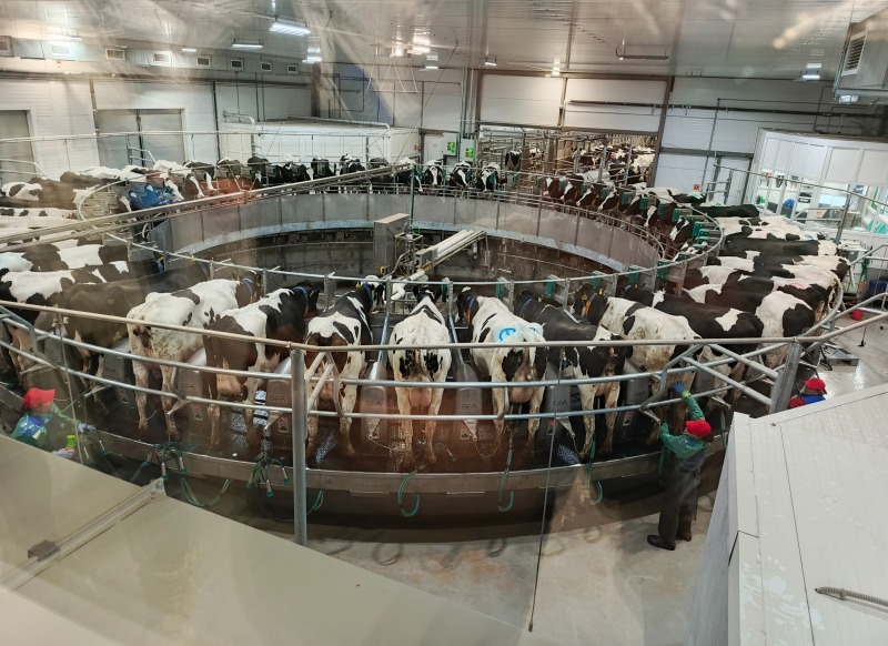 Новый животноводческий комплекс в с. Больше-Дорохово, торжественное открытие которого состоялось 27 октября,  оборудован по последнему слову техники