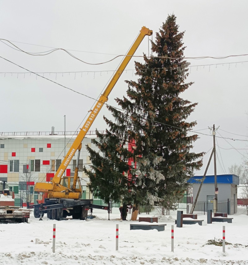 Скоро зажгутся огни городской новогодней ёлки