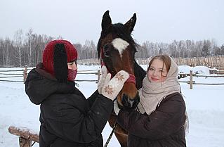 Зимнее утро на конюшне