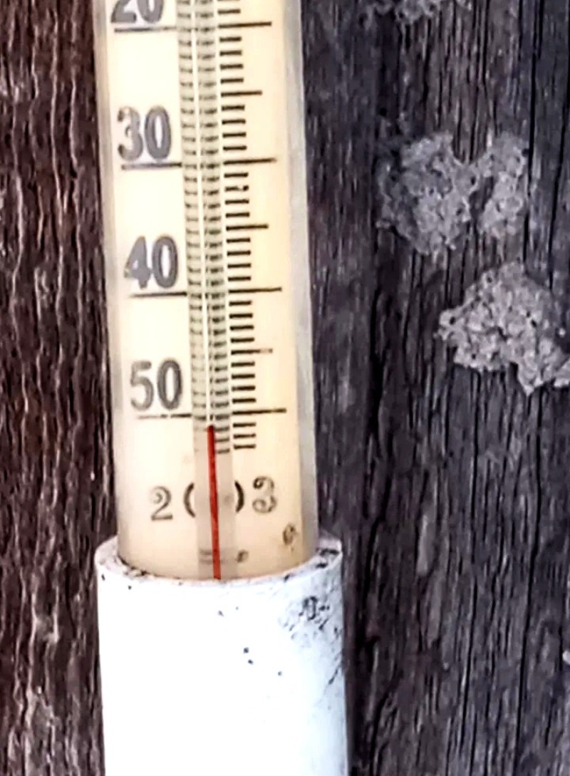 Январь в прошлом году был самым тёплым за 100-летнюю историю климатических наблюдений в России, а нынче он напугал морозами