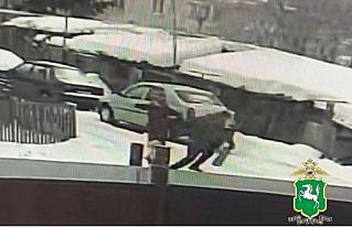 Караул, грабят! Асиновские полицейские задержали мужчину, подозреваемого в ограблении пенсионерки