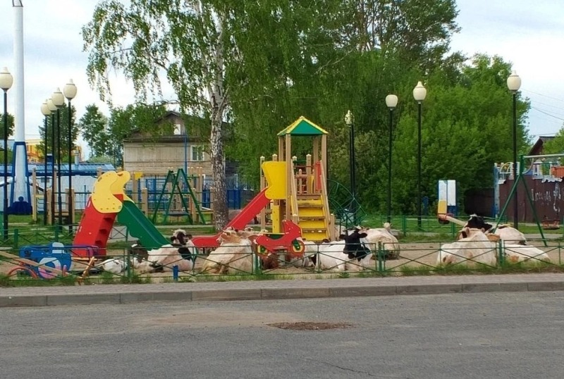 Ужас на детской площадке