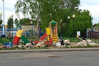 Ужас на детской площадке