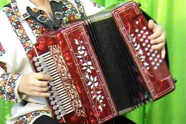 Играла гармонь и пела душа