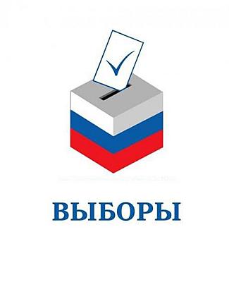 Как проголосовали?
