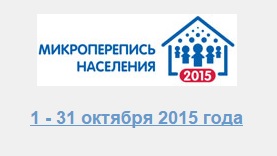 Идёт микроперепись