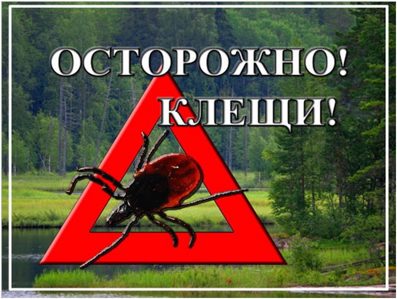Клещи наступают!