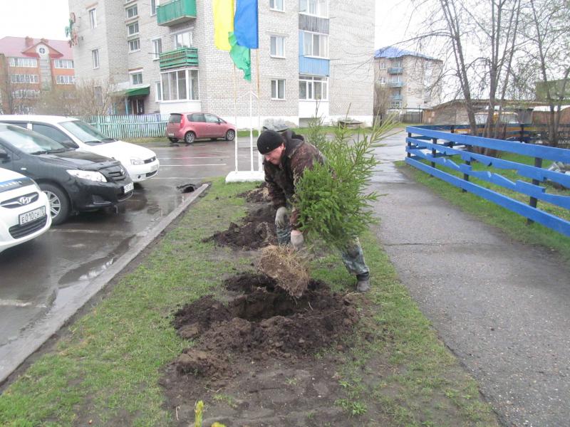 Посадили аллею Победы