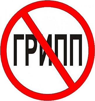 ОРВИ и грипп «замёрзли»
