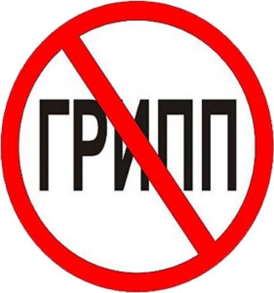 ОРВИ и грипп «замёрзли»