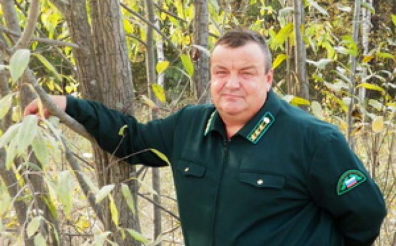 Выбирали жители области и департамент