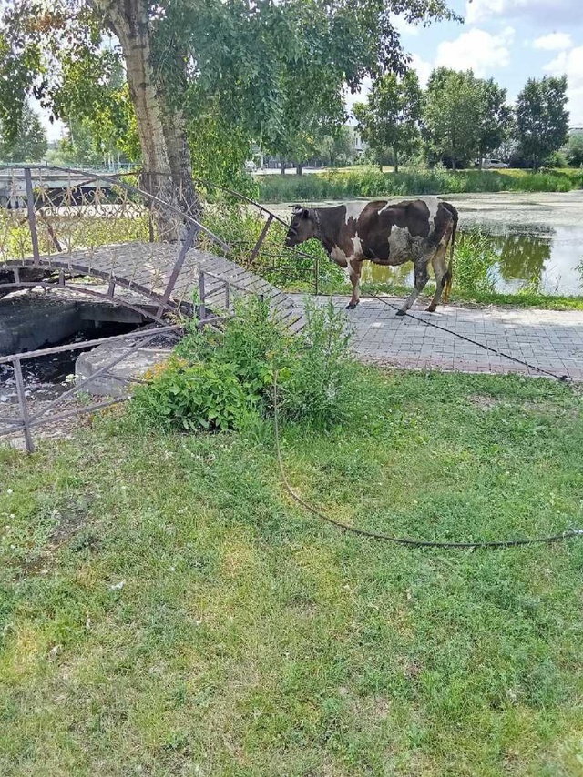 Уважаемые жители села!